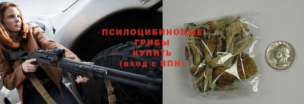 метадон Белокуриха
