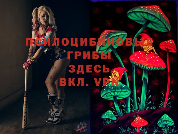 мяу мяу мука Беломорск