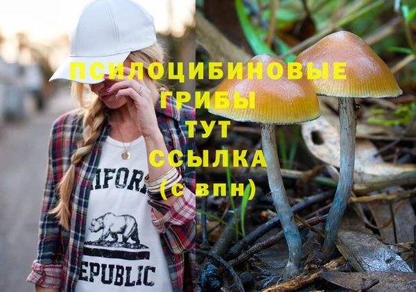 амф Россошь