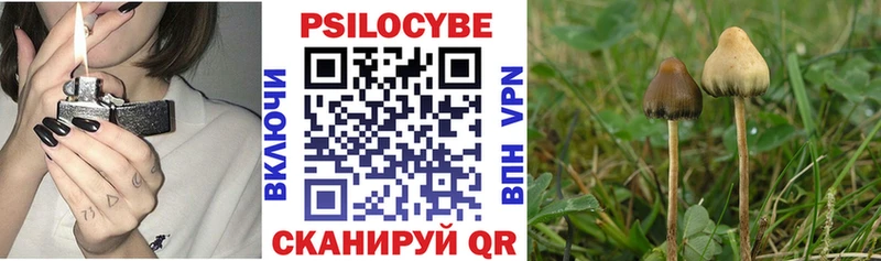 Галлюциногенные грибы ЛСД  дарк нет наркотические препараты  Болхов 